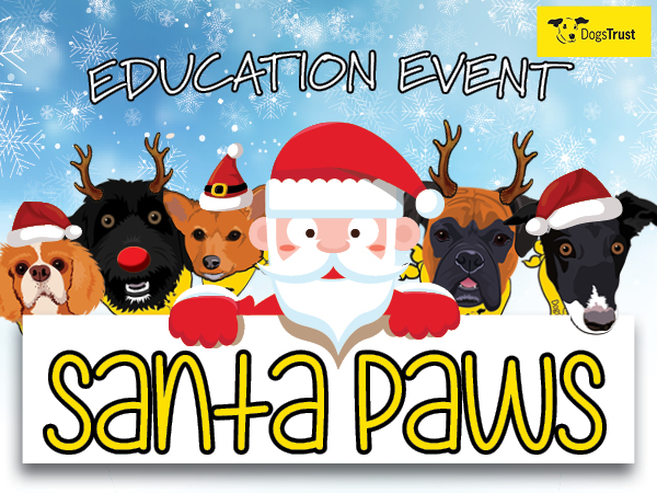 Twas The Night Before Santa Paws | Learn With Dogs Trust